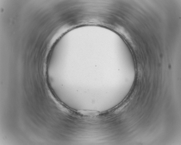 X0000087751424200706041050