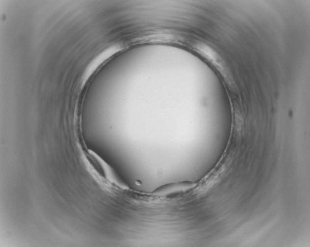 X0000087751426200706041050