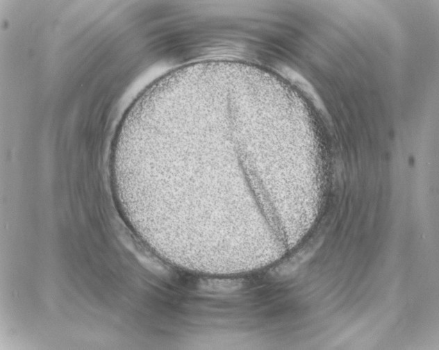 X0000087751427200706041050