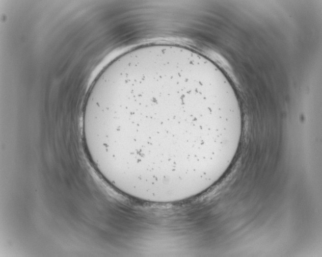 X0000087751428200706041050