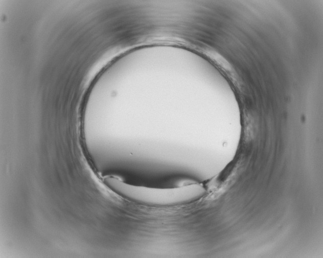 X0000087751430200706041050