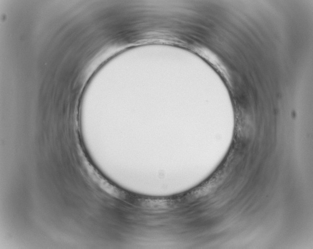 X0000087751431200706041050