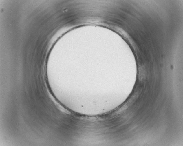 X0000087751432200706041050