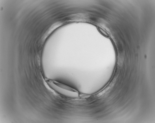 X0000087751433200706041050