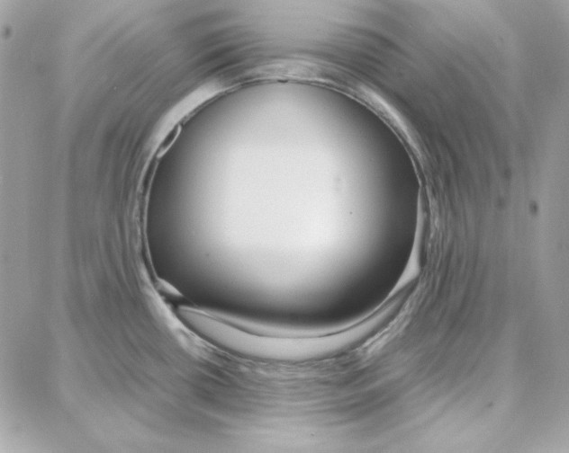 X0000087751434200706041050