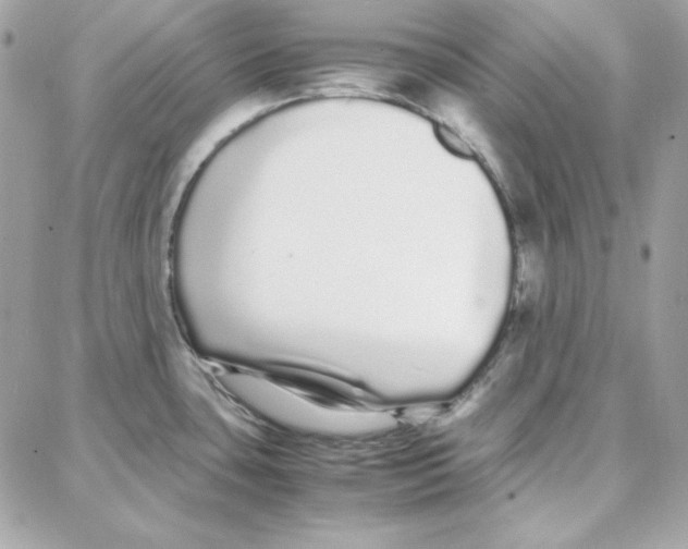 X0000087751435200706041050