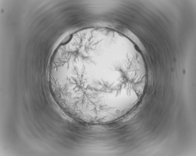 X0000087751436200706041050