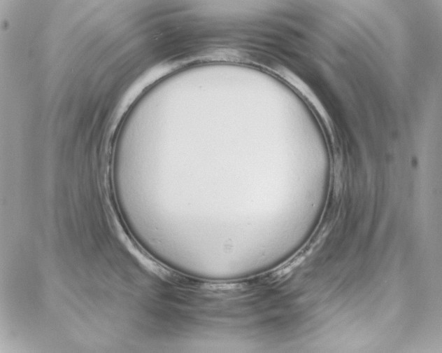 X0000087751437200706041050