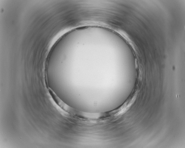 X0000087751438200706041050