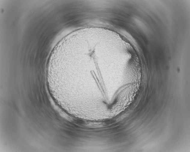 X0000087751439200706041050