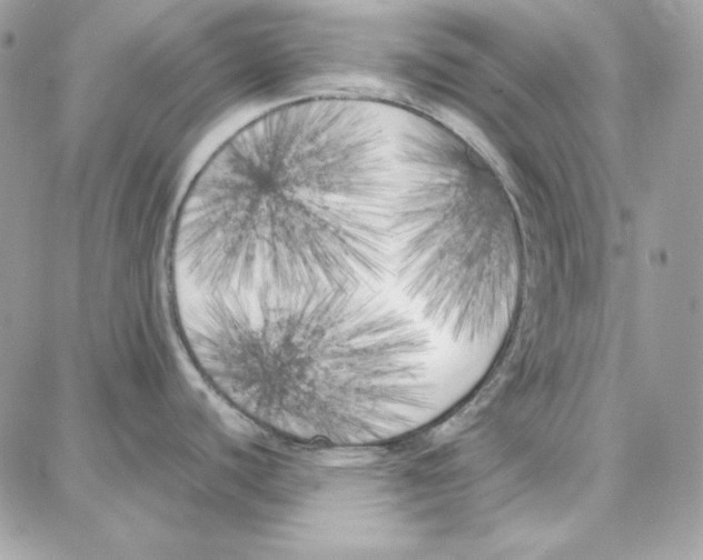 X0000087751440200706041051