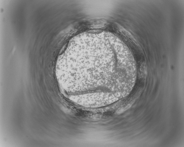 X0000087751441200706041050