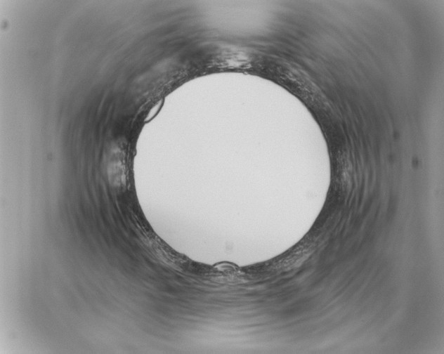 X0000087751442200706041050