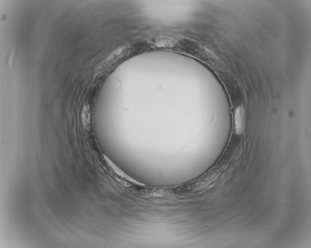 X0000087751443200706041050