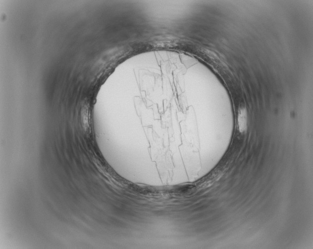 X0000087751444200706041050