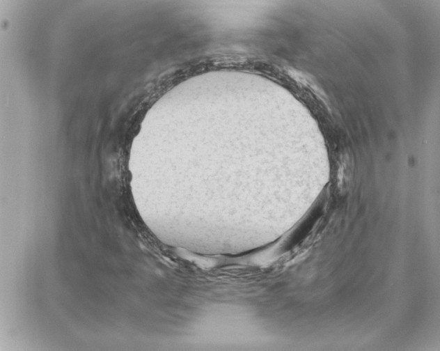 X0000087751445200706041050