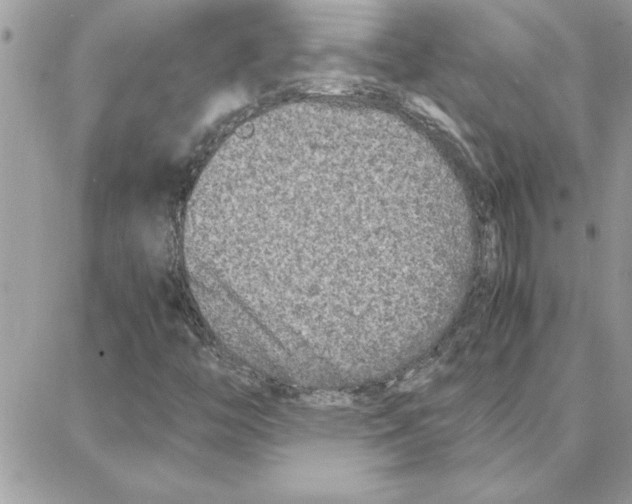 X0000087751446200706041050