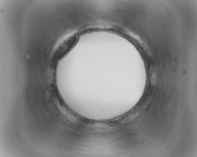 X0000087751448200706041050