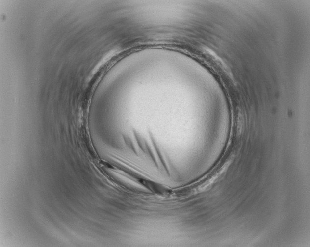 X0000087751449200706041050