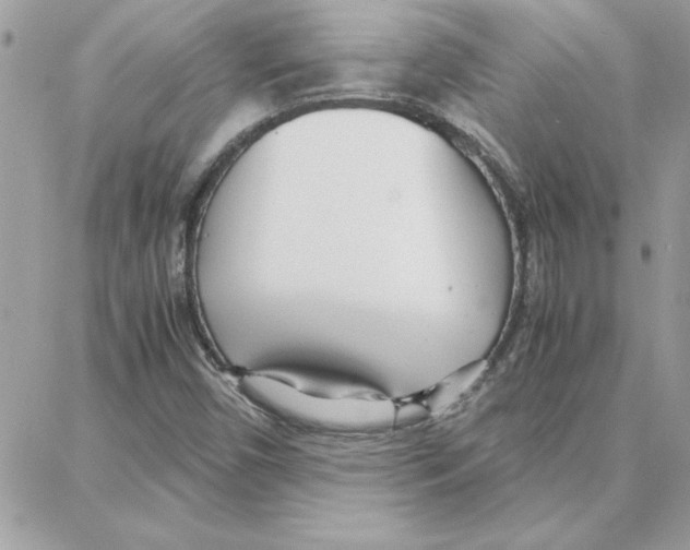 X0000087751450200706041050