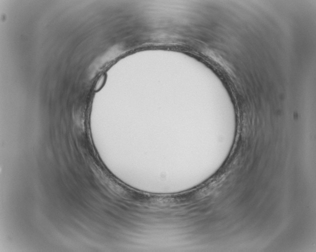 X0000087751451200706041050