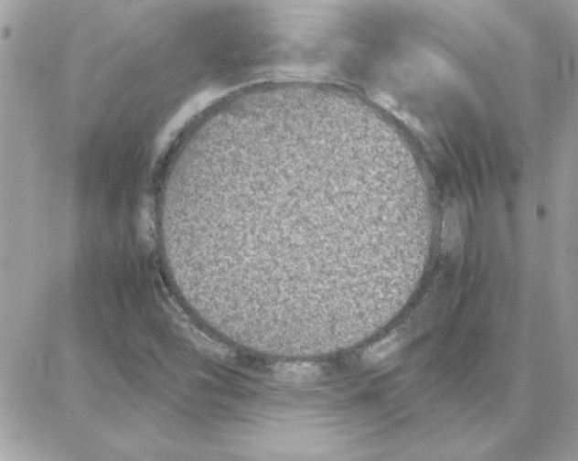 X0000087751454200706041050