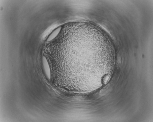 X0000087751455200706041050