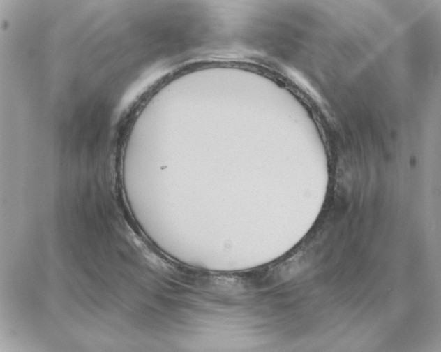 X0000087751456200706041049