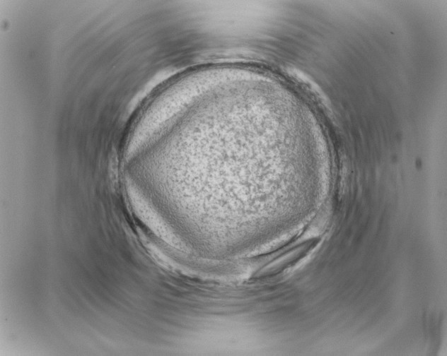 X0000087751457200706041049