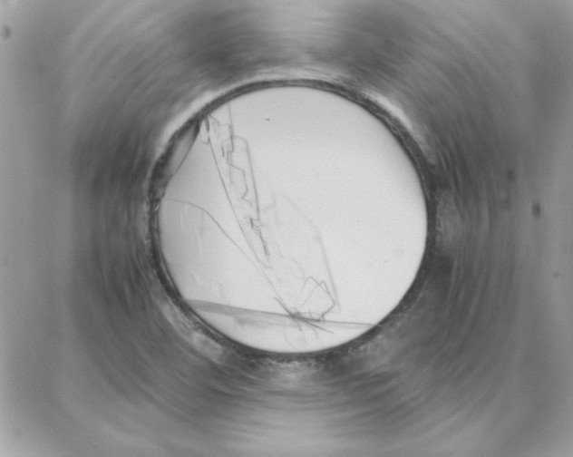 X0000087751460200706041049