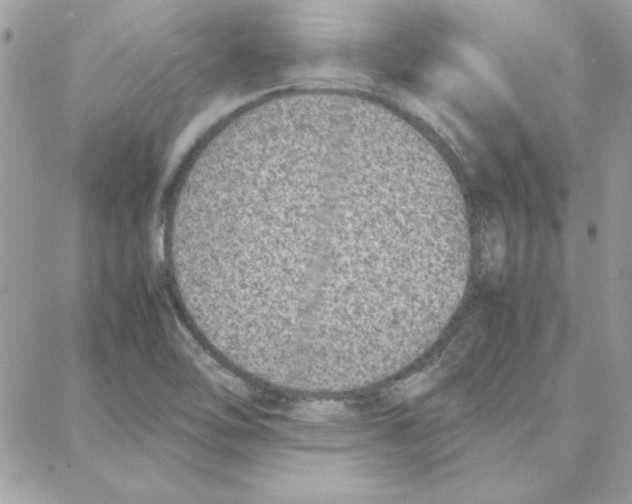 X0000087751462200706041049