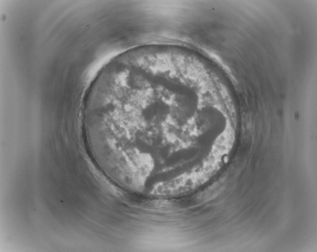 X0000087751463200706041049