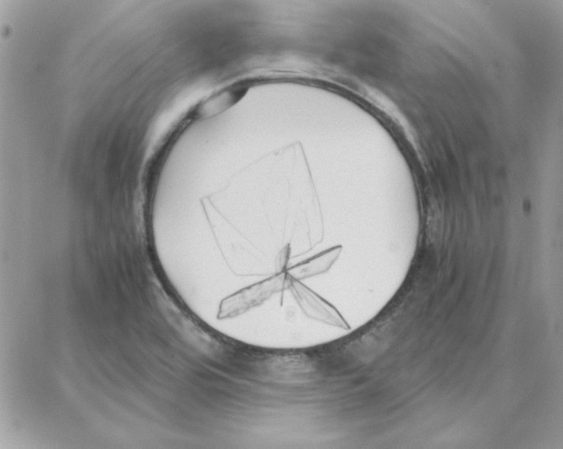 X0000087751464200706041049