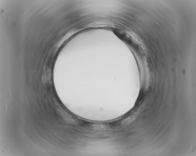 X0000087751465200706041049