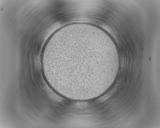 X0000087751466200706041049