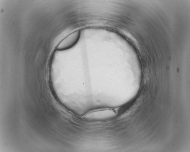 X0000087751467200706041049