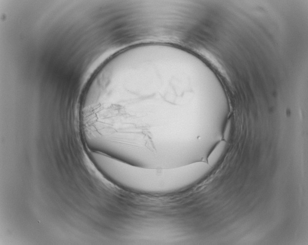 X0000087751468200706041049