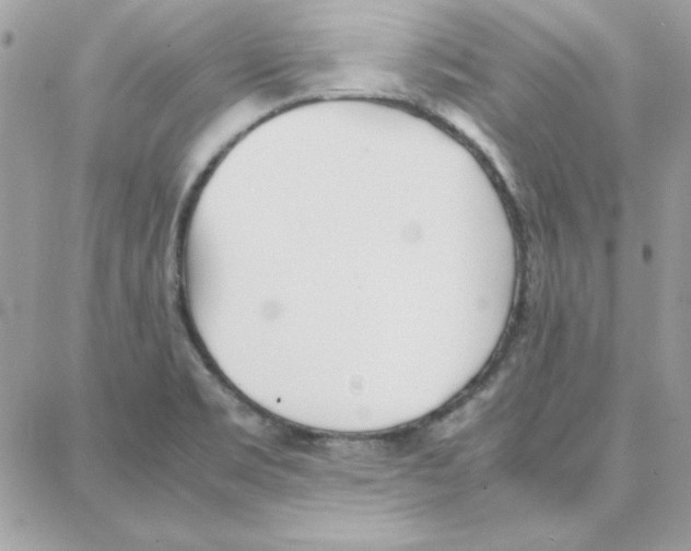 X0000087751469200706041049