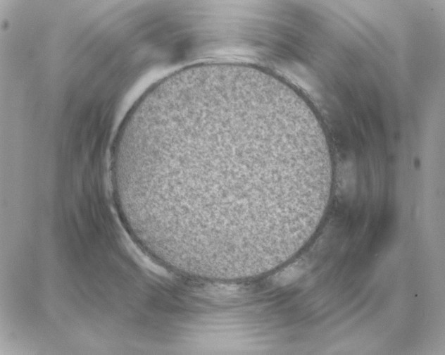 X0000087751470200706041049