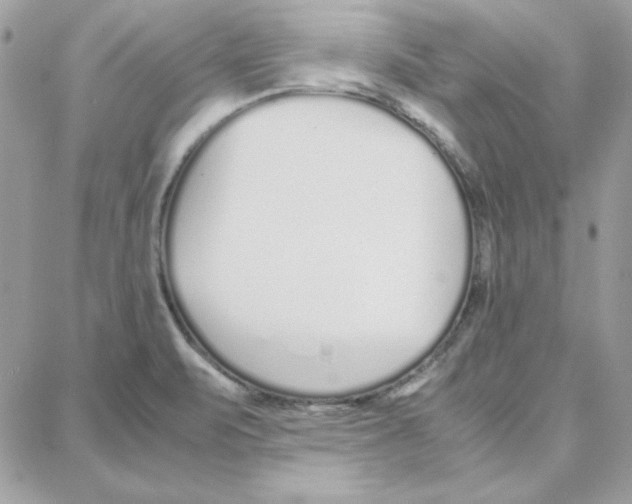 X0000087751471200706041049