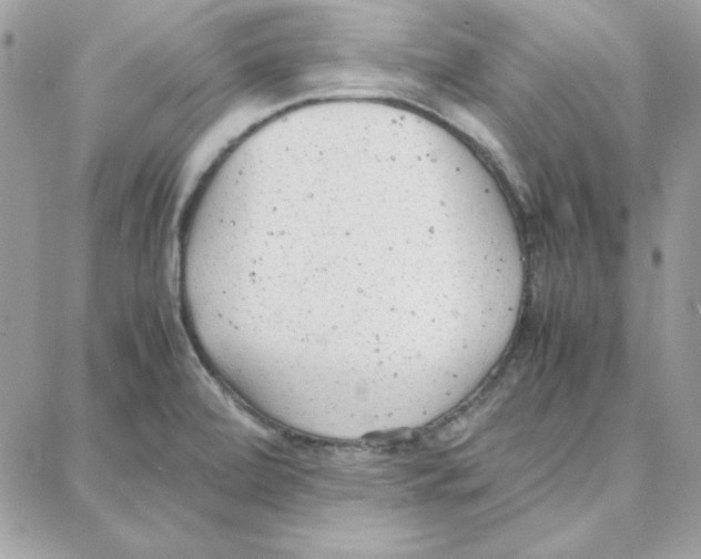 X0000087751472200706041049