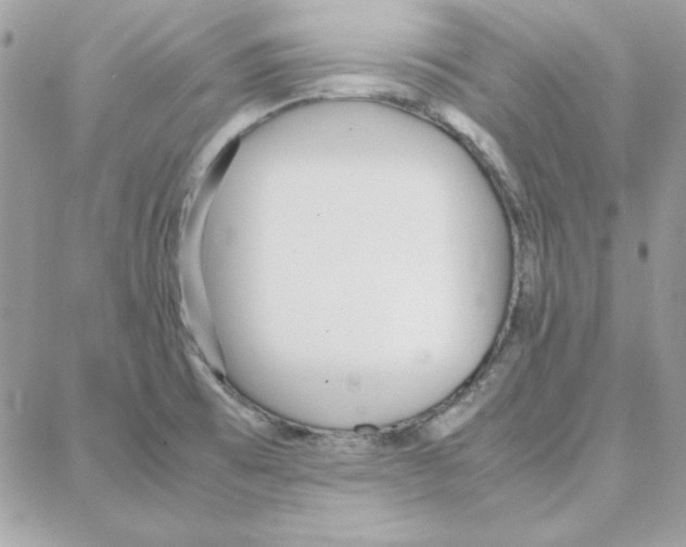 X0000087751473200706041049