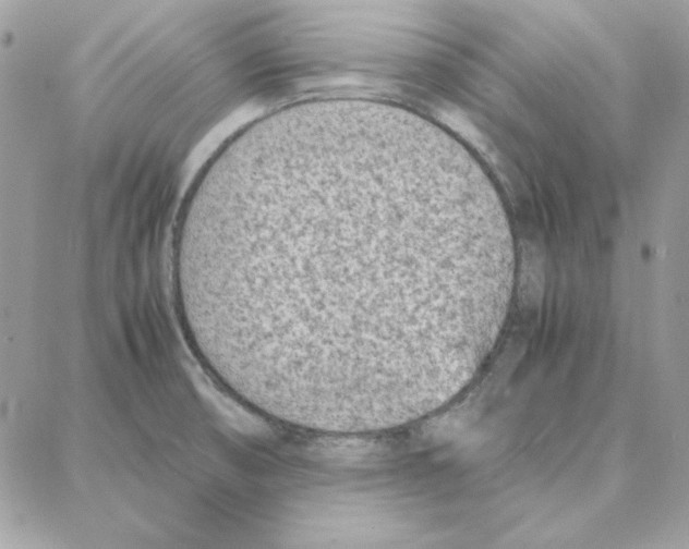 X0000087751474200706041049