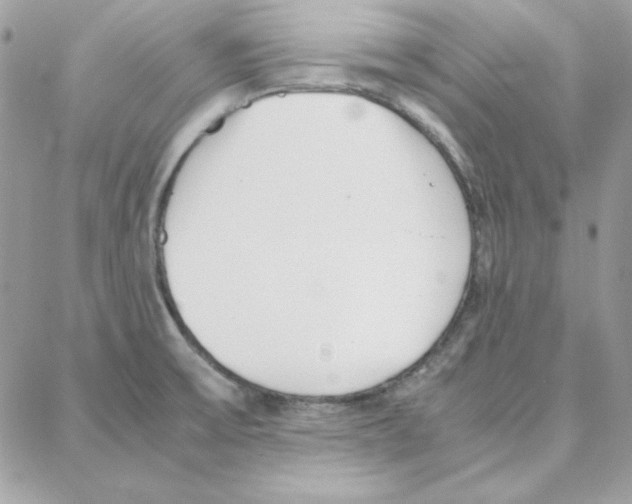 X0000087751475200706041049