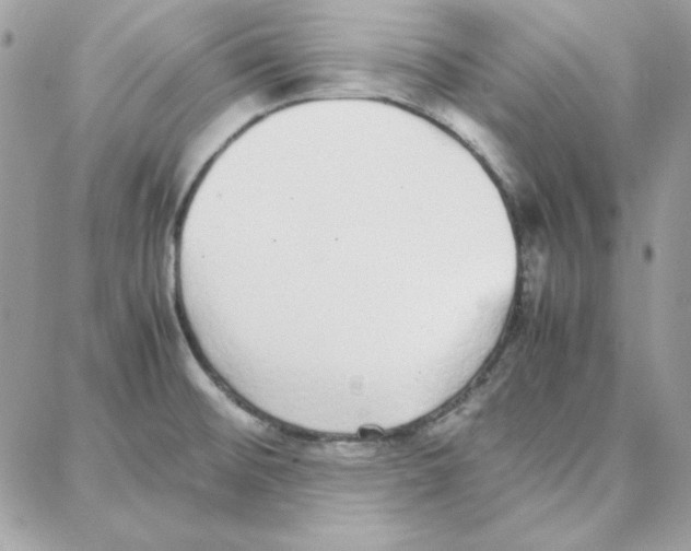 X0000087751476200706041049