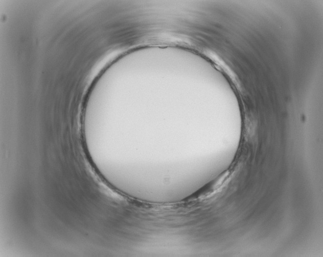 X0000087751477200706041049