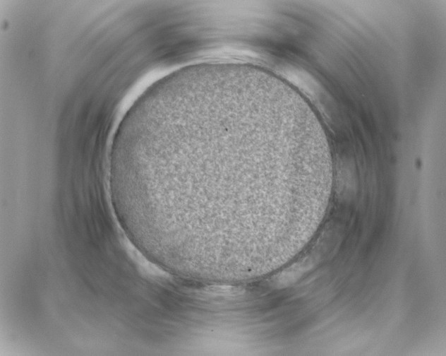 X0000087751478200706041049