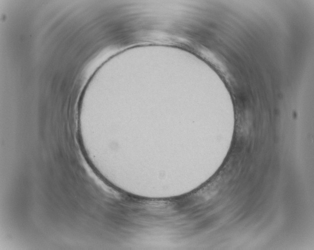 X0000087751479200706041049