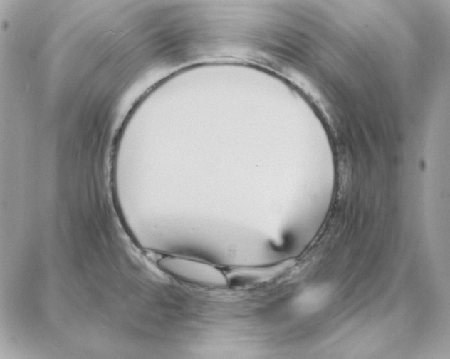 X0000087751480200706041049