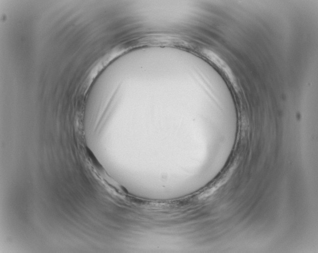 X0000087751481200706041049